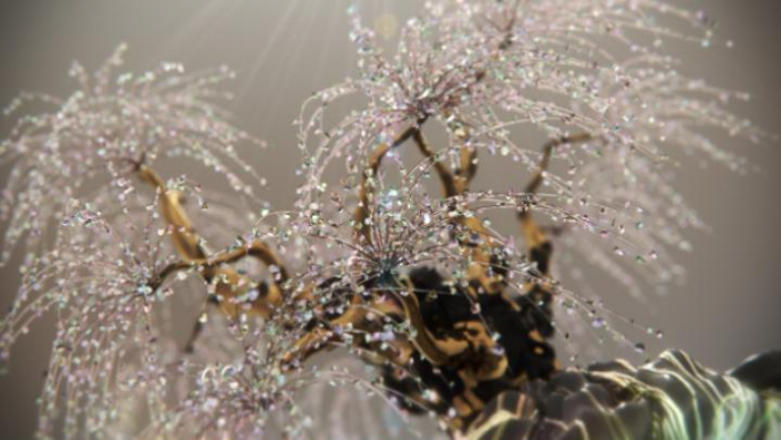 con23_006_GARDEN_4_720x405